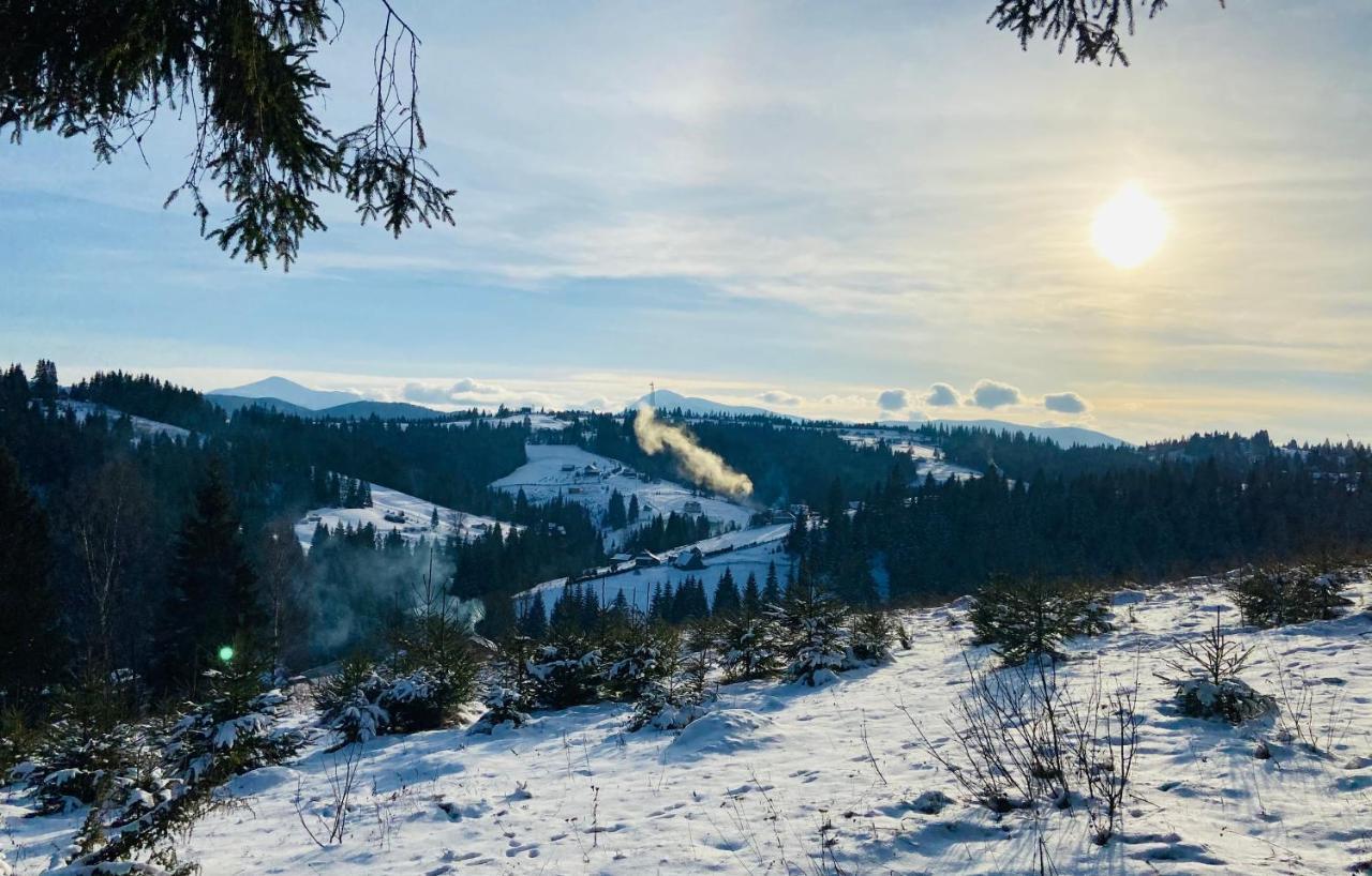 Appartamento Danrock Yablunytsya Esterno foto