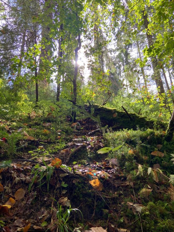 Appartamento Danrock Yablunytsya Esterno foto
