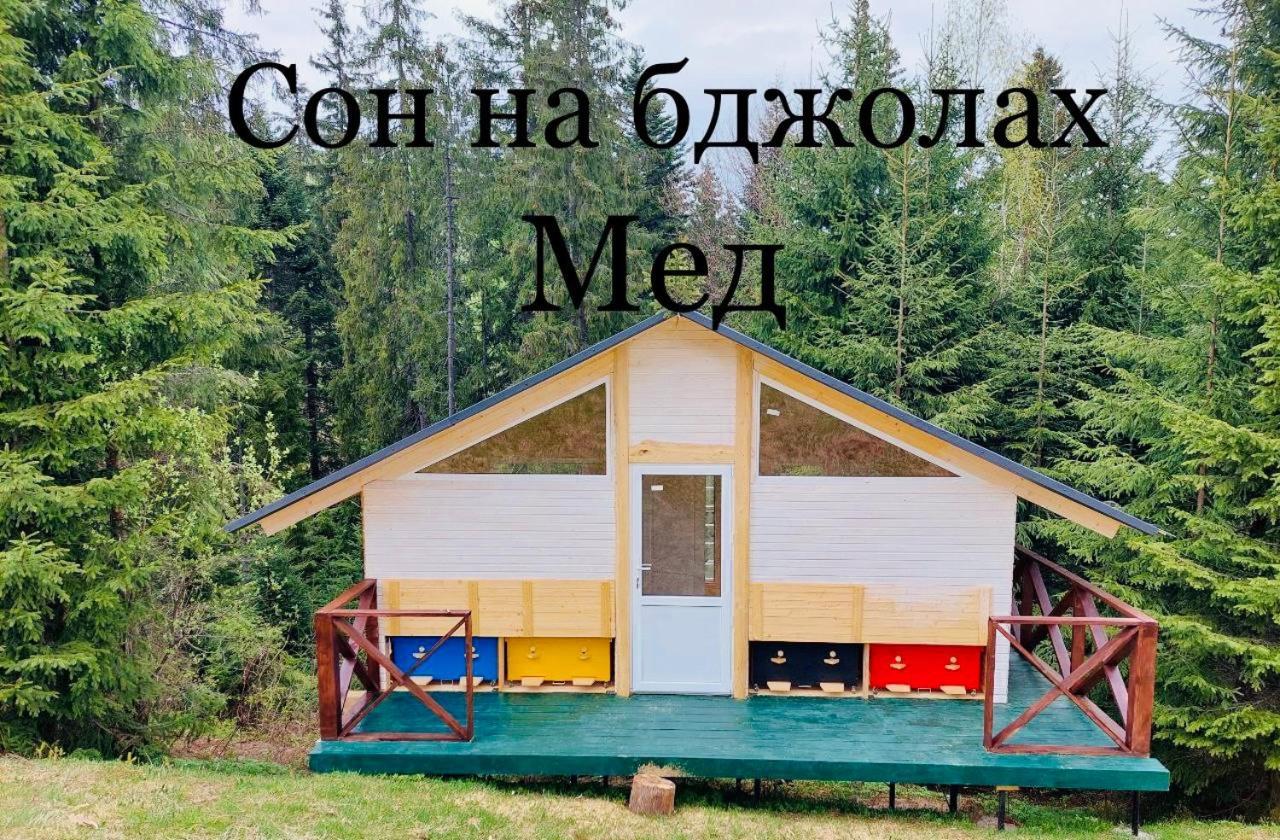 Appartamento Danrock Yablunytsya Esterno foto